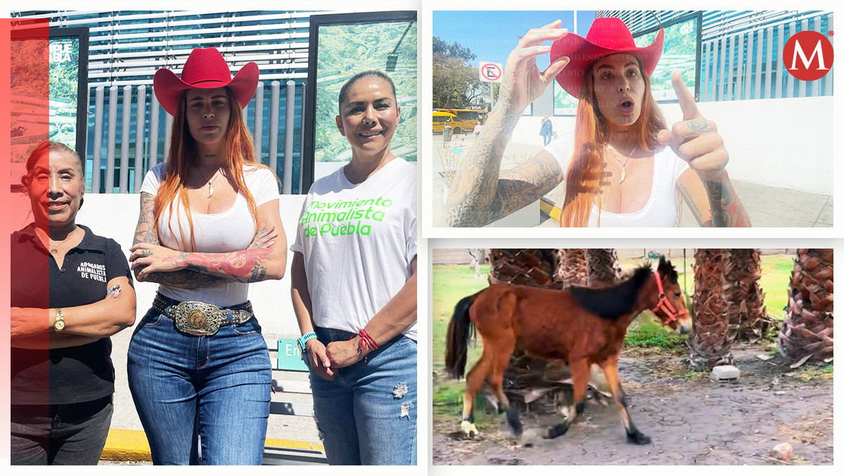Piden destituir a juez que dejó libre al agresor sexual de la potranca Mila en Puebla | JZ/ Especial/ Diseño Milenio