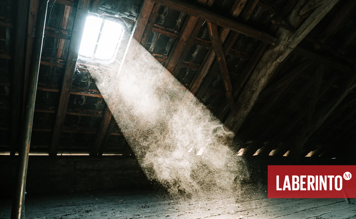 El polvo viaja en parvadas de fantasmas. (Unsplash)