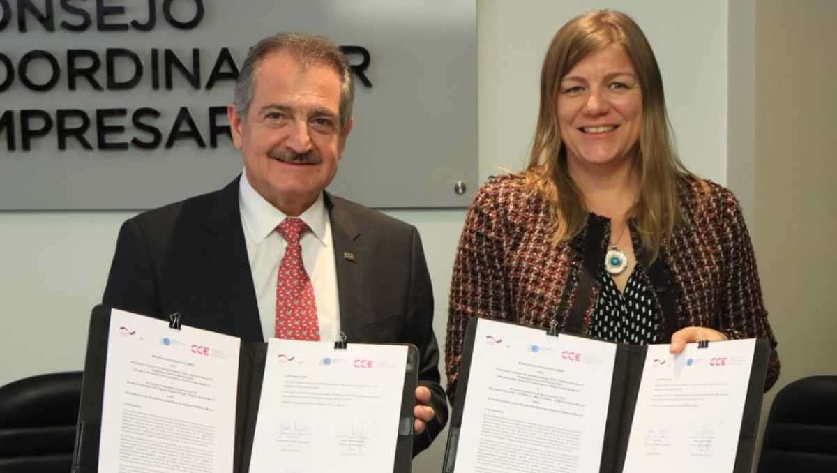 Se espera que compañías aumenten competitividad en mercados internacionales, consigan adaptarse y cumplan normativas y requisitos. | @cceoficialmx