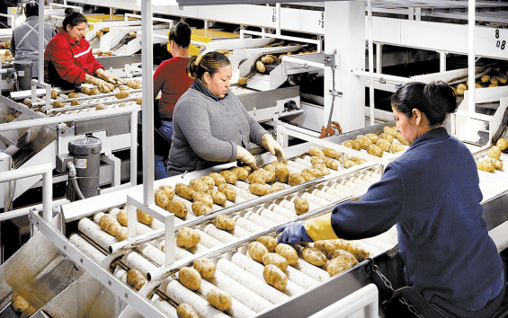 Hay problemas para alojar a los migrantes, pero ayudan a mantener bajos los costos de los servicios. SHUTTERSTOCK
