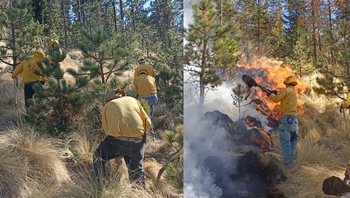 Brigadistas combaten incendio forestal. | Especial