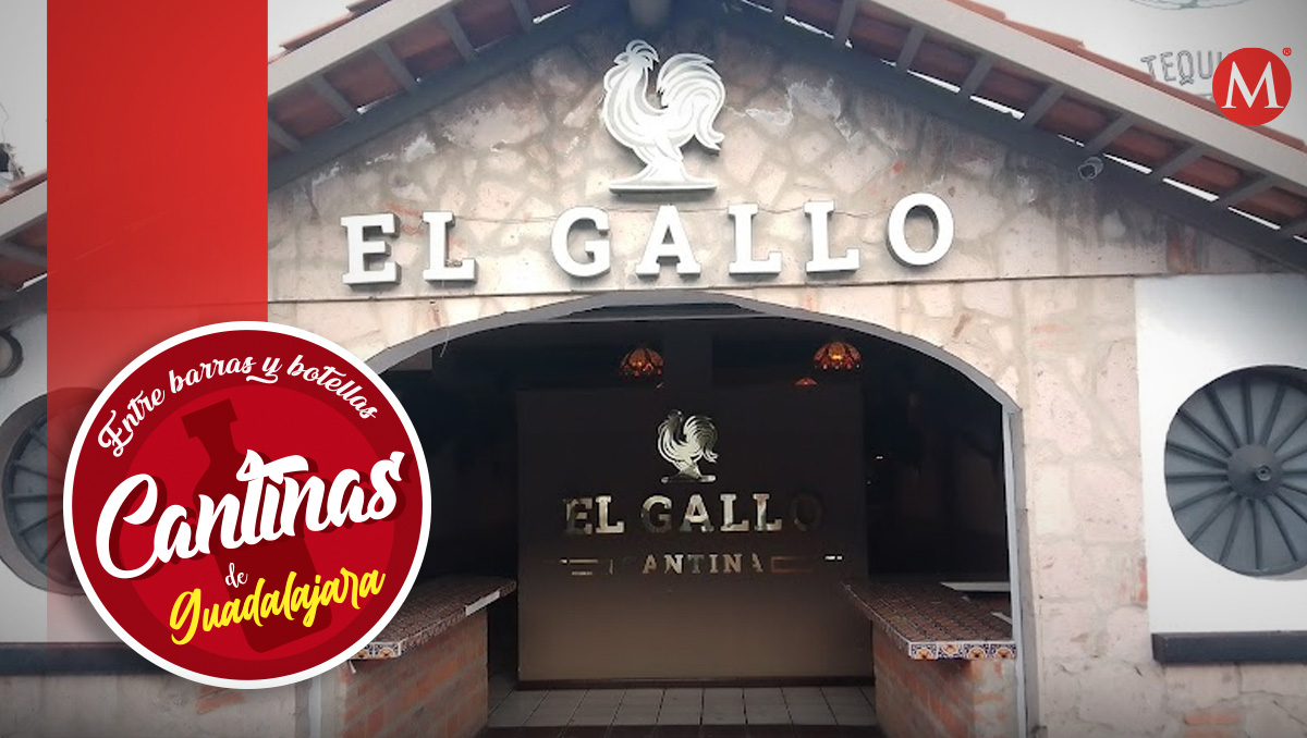 El Gallo, una cantina joven que ha ganado gran popularidad