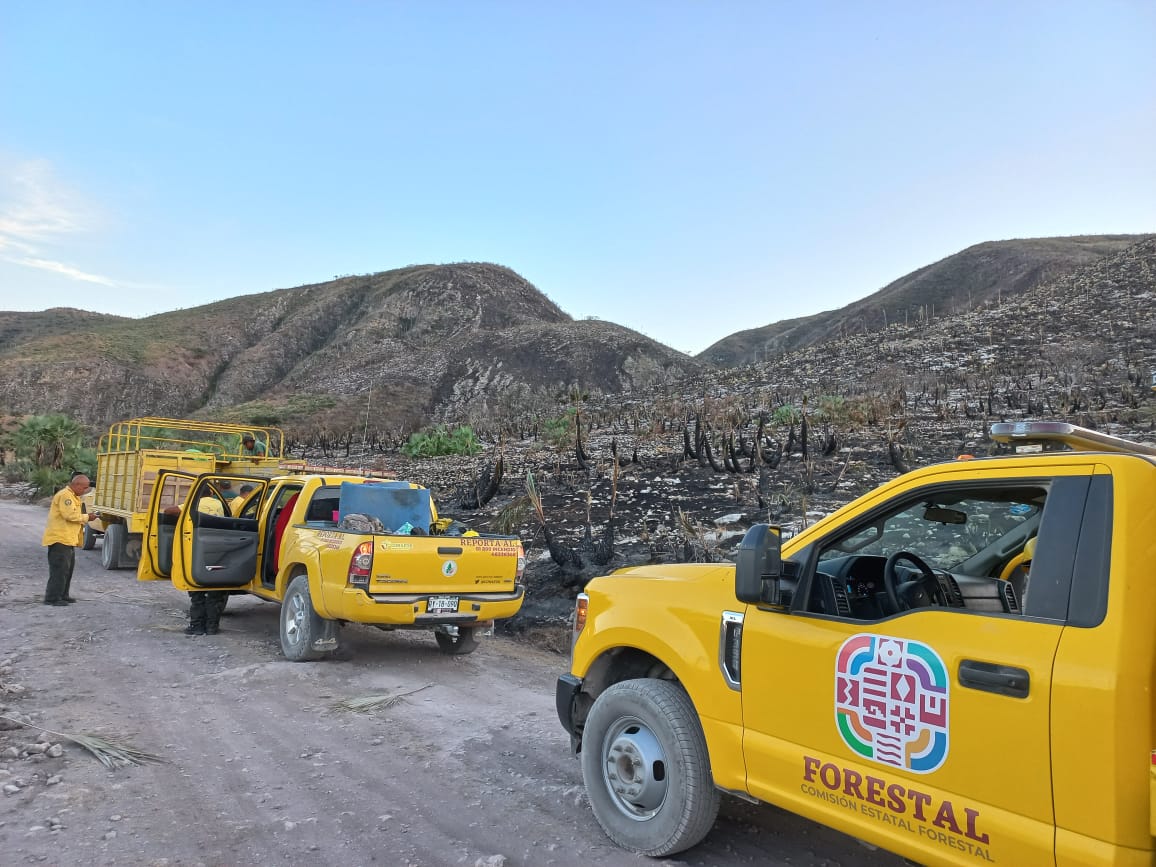 Éxito en Oaxaca: Incendio forestal bajo control | Especial