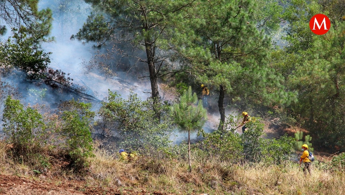 Incendios forestales en Puebla | Melanie Torres
