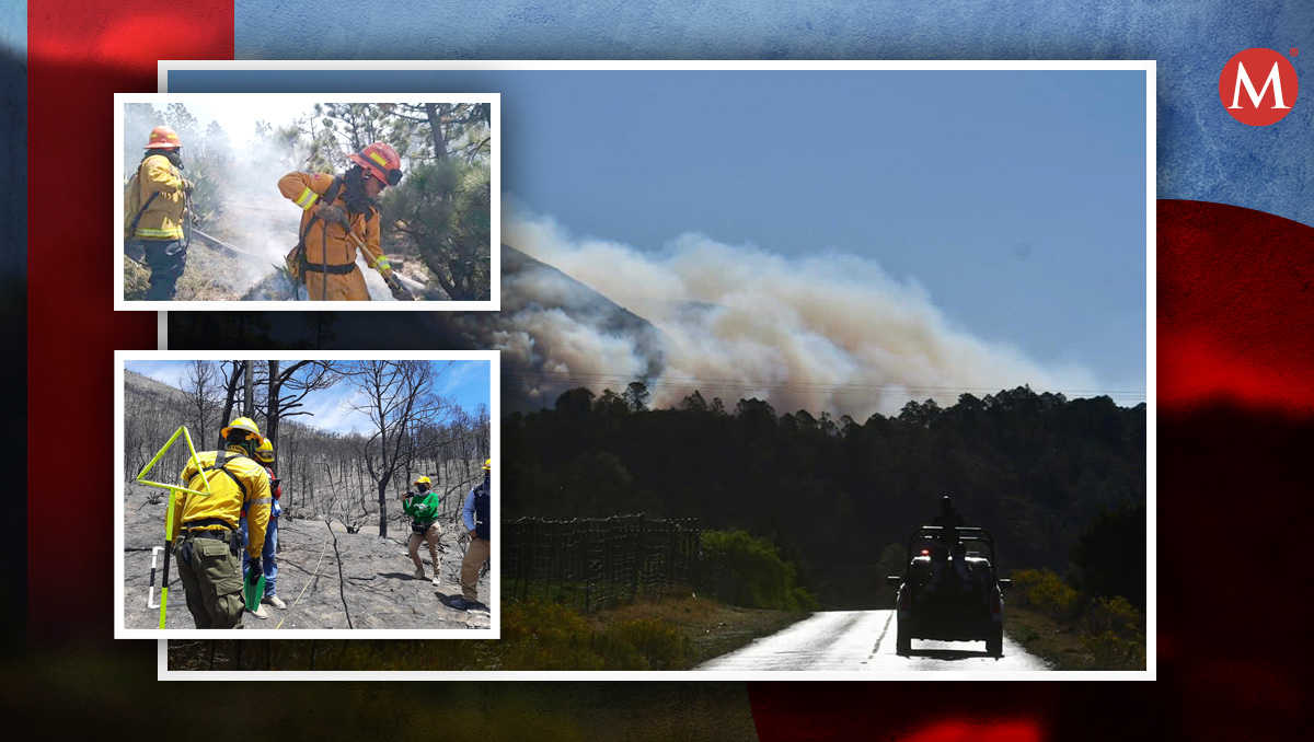 ¿Dónde reportar en Coahuila y qué hacer en caso de un incendio forestal? | Especial