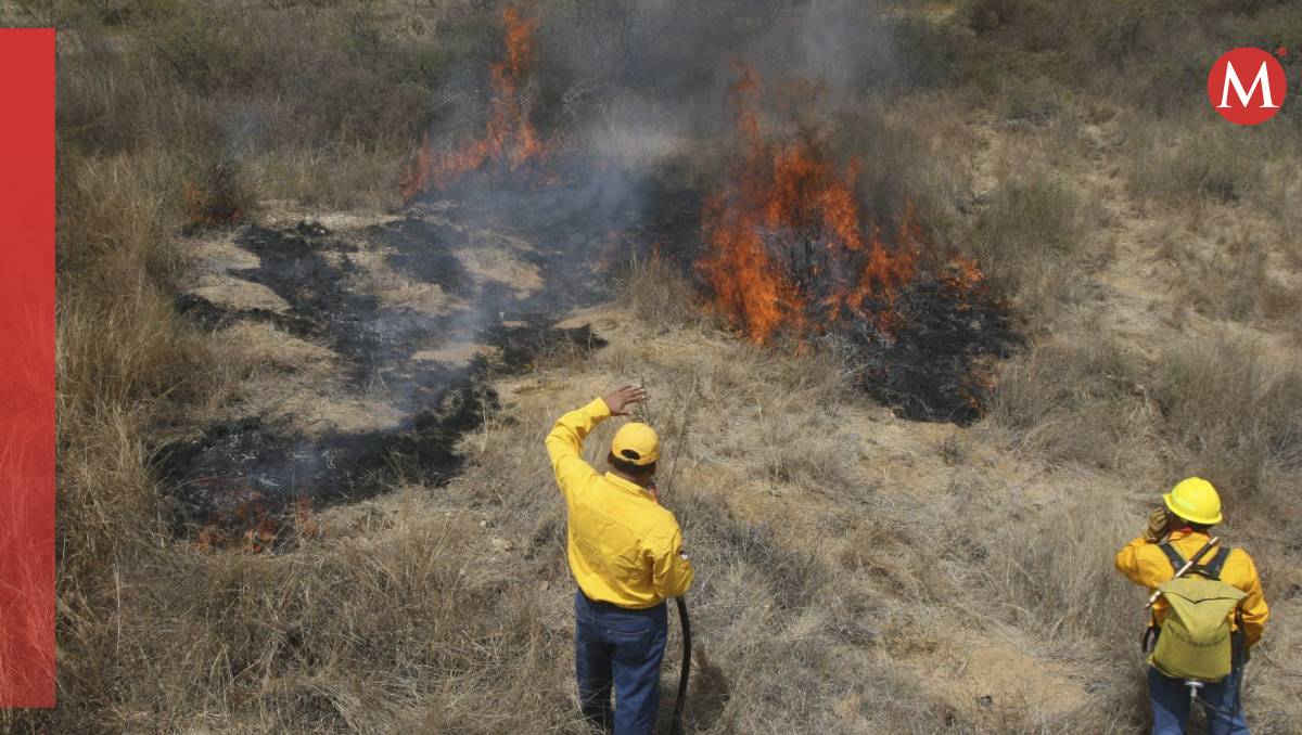 En Oaxaca, actualmente hay 25 incendios forestales activos | (Imagen ilustrativa, Cuartoscuro)