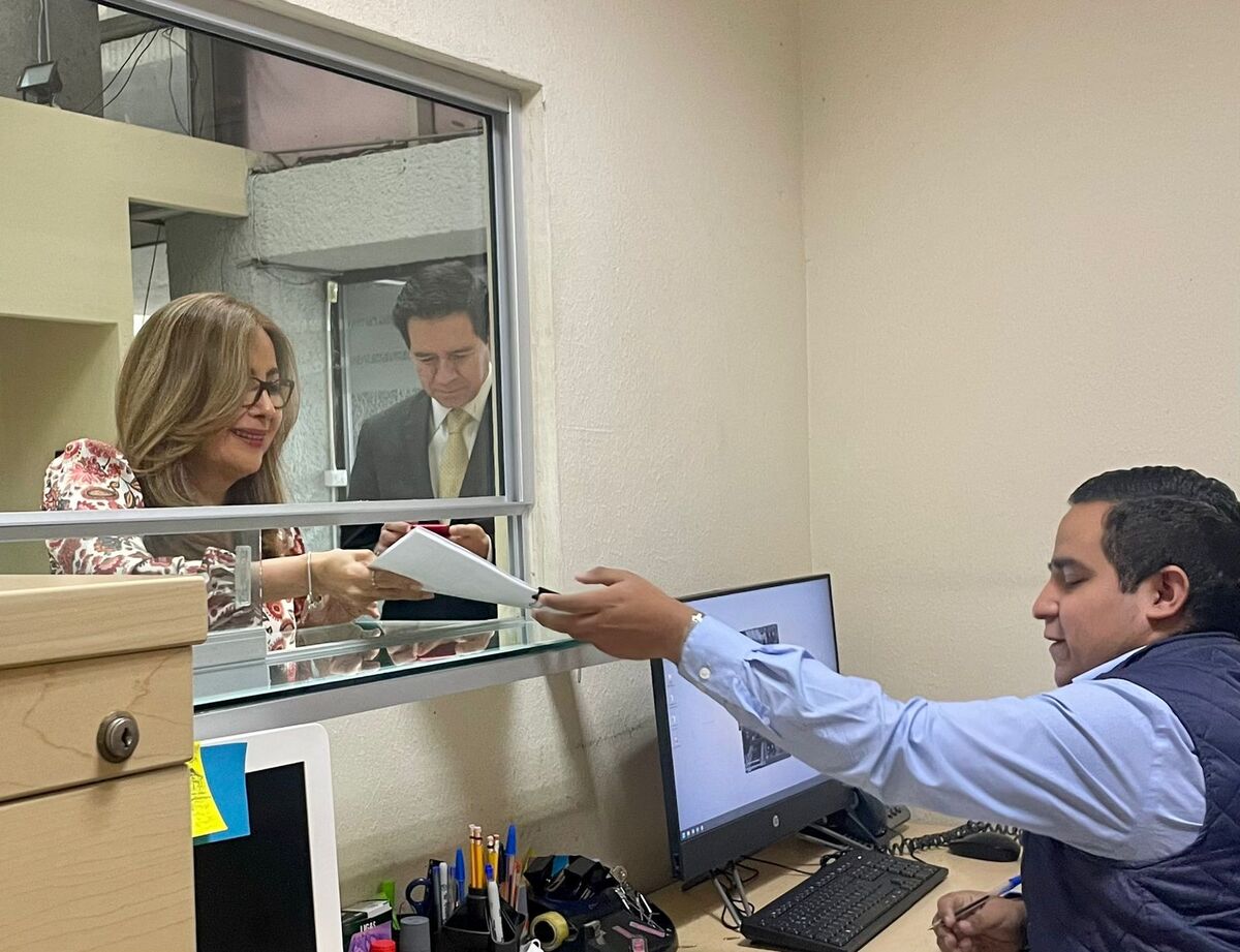 La presidenta del organismo, Susana Méndez Arellano, presentó la solicitud. Foto: Kevin Recio