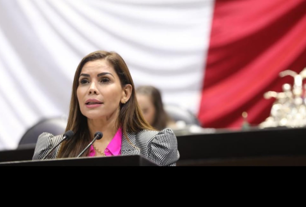Diputada Karina Barrón propone reforma al Código Penal Federal | Especial