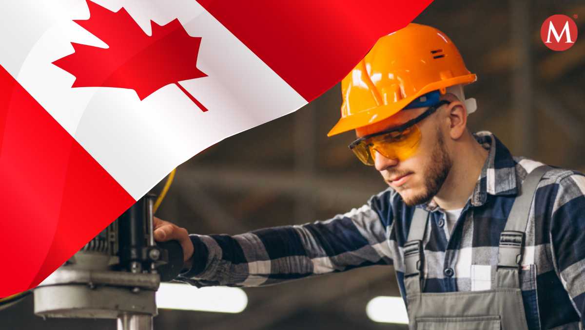 A través del Portal del Empleo se dio a conocer una vacante de Canadá para mexicanos | MILENIO