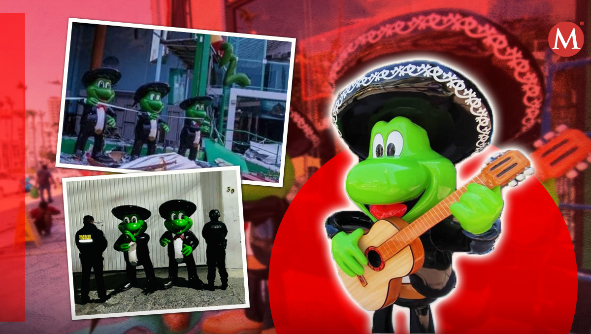 En municipio de Nezahualcóyotl, localizan 'ranas mariachi' robadas en tienda de Acapulco.