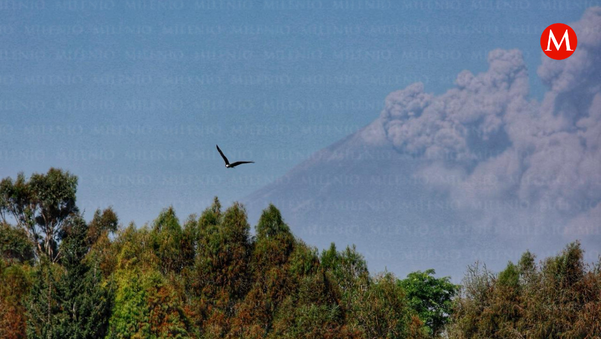 Volcán Popocatépetl | Andrés Lobato