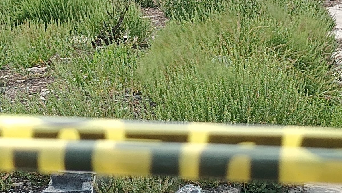 Hallan a hondureño muerto en la colonia Industrial en Monterrey. Foto: Israel Santacruz