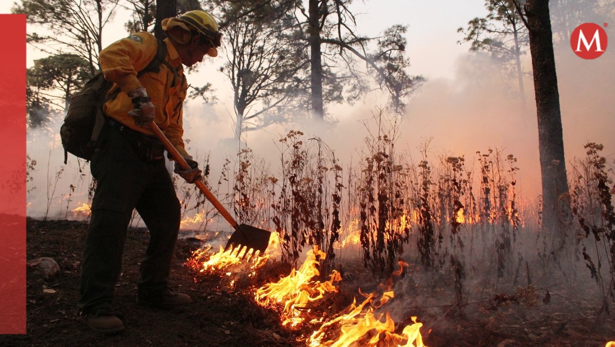 Incendio en Hidalgo, Tamaulipas consume 180 hectareas: PC