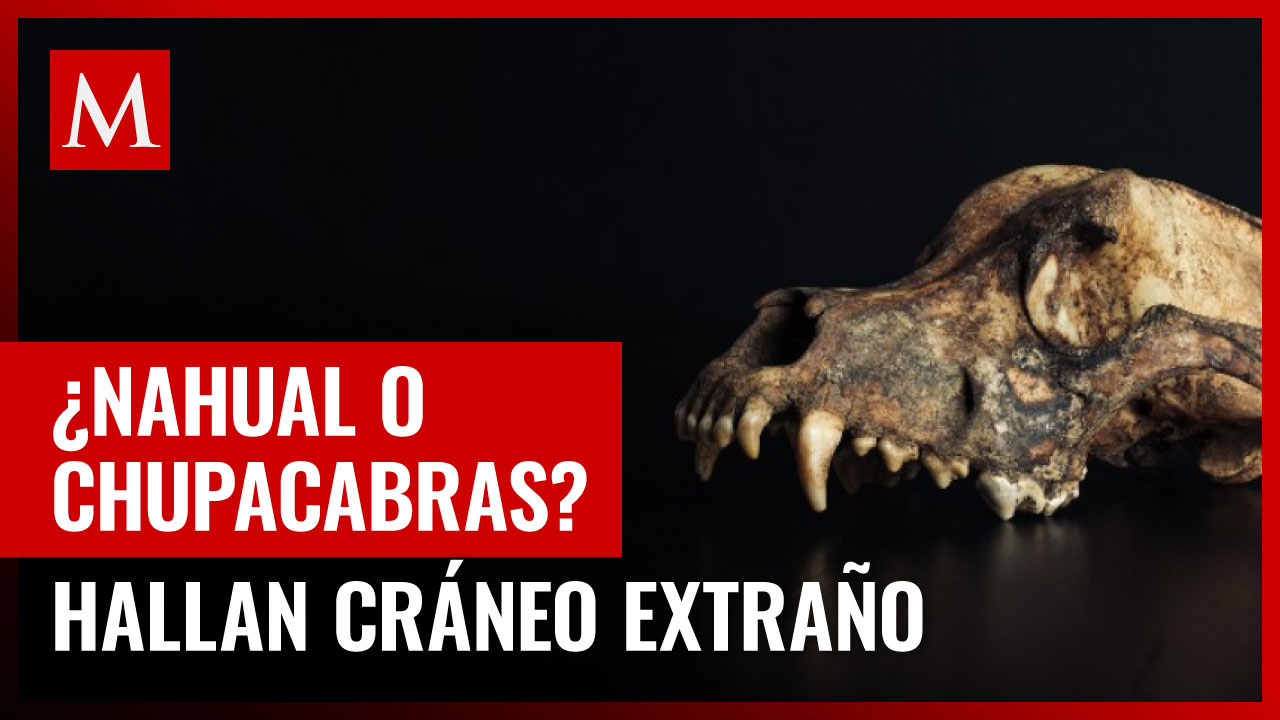 Misterioso cráneo descubierto en cueva de Coahuila