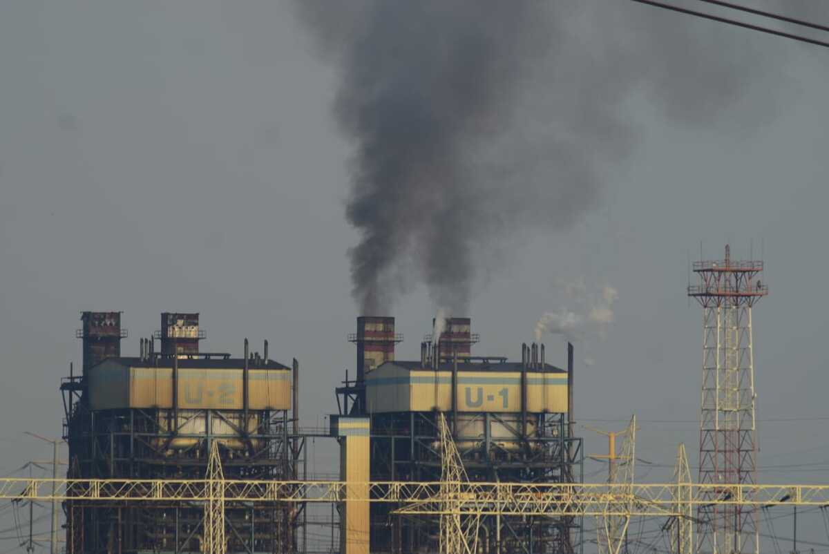 Buscan sustentar el daño al ecosistema.
