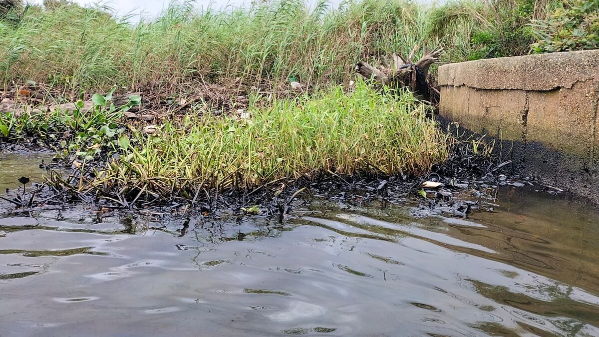 Contaminación en el río Coatzacoalcos: Pescadores alarmados por derrame de hidrocarburos | Fluvio Cesar Martínez