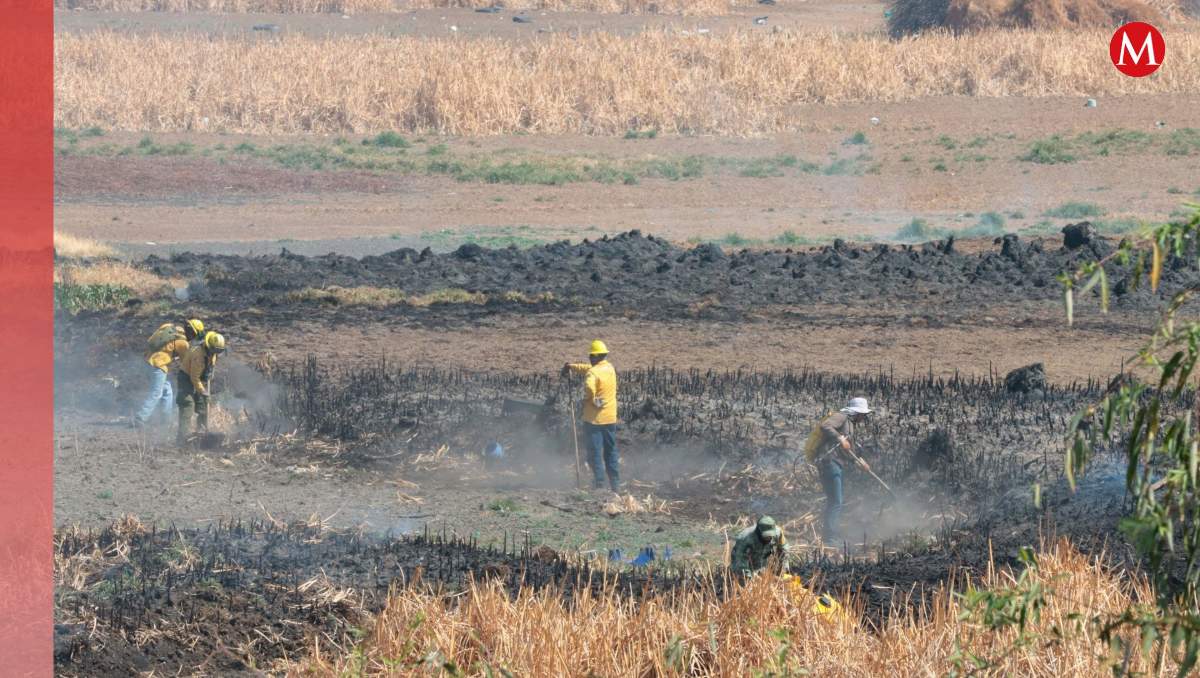 Incendio descontrolado arrasa tierras de cultivo en Texcoco| Foto: Cuartoscuro