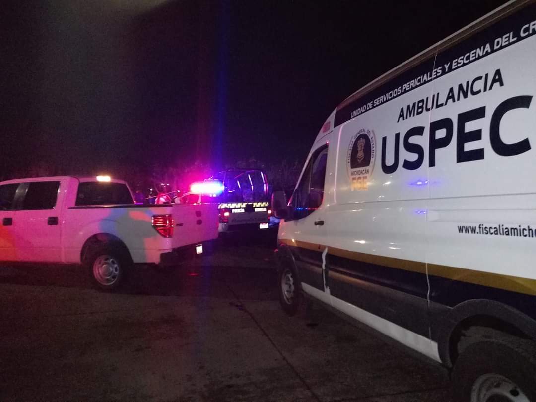 Michoacán: Descubren siete cuerpos con signos de violencia en Chilchota | Especial