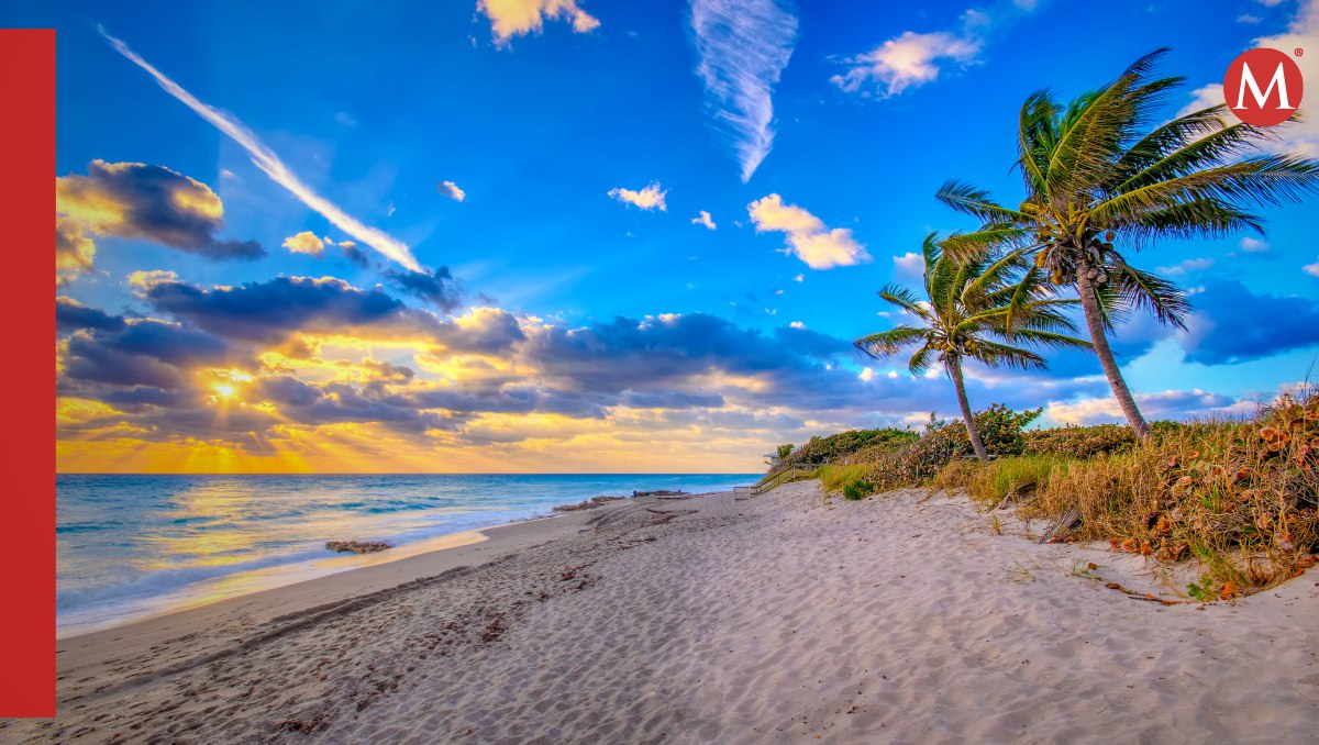 Cortesía The Palm Beaches