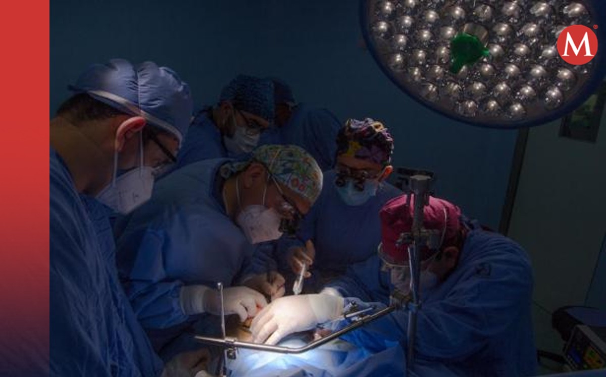 En Guanajuato mil 700 pacientes están en lista de espera para trasplante de riñón. Foto: Especial