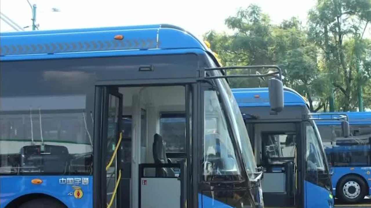 En Quintana Roo, se planea un corredor de transporte público que sea eléctrico
