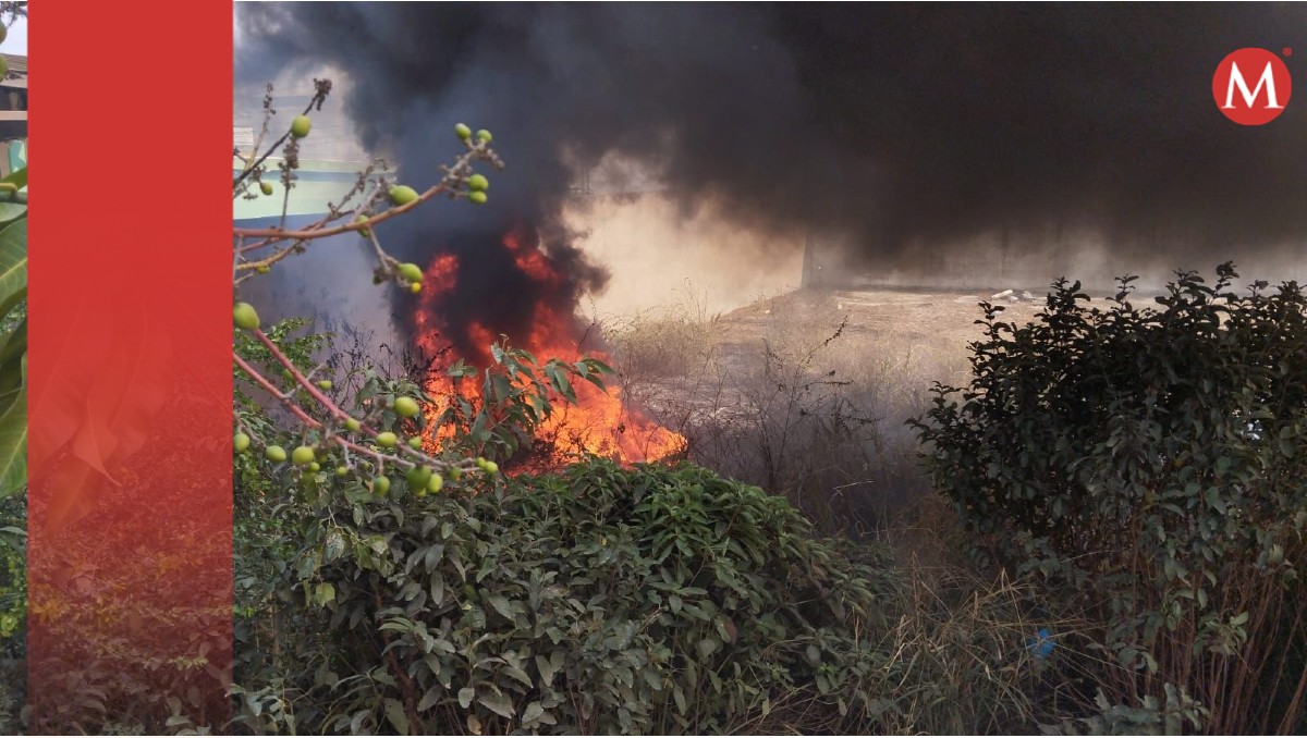 Incendio se sale de control en colonia de Tampico