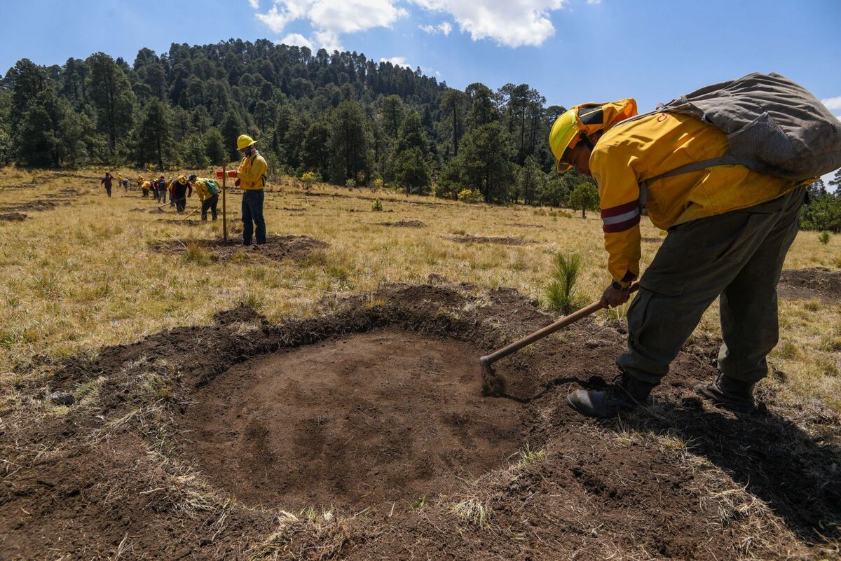 La organización Nación Verde desarrolló el proyecto de terrazas de filtración.| Cuartoscuro
