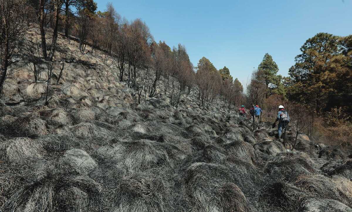 Parque Nacional en faldas del Iztaccíhuatl, a la altura de Amecameca y Ozumba. Tania Contreras