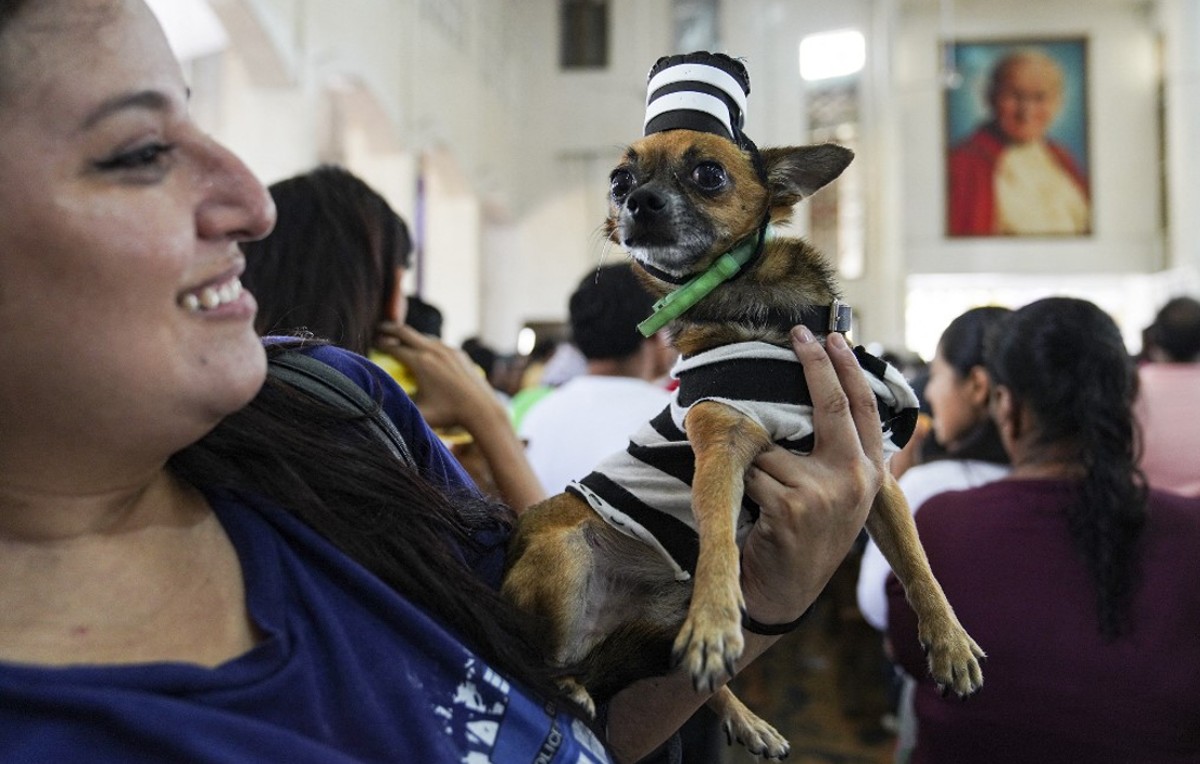 Celebración de San Lázaro en Nicaragua (AFP)