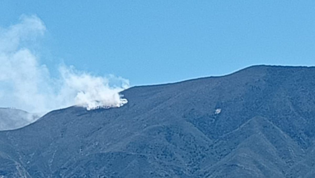 Incendio forestal en Parras. | Especial