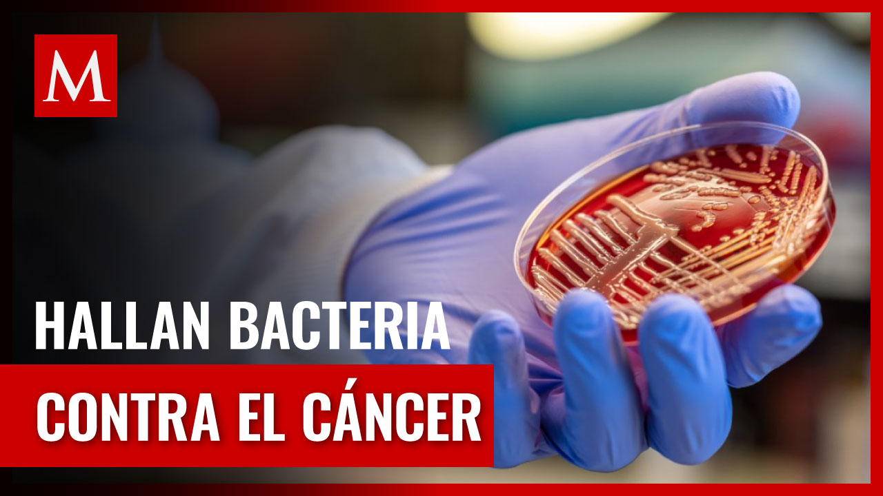 Bacterias de la Amazonía dan esperanza en la batalla contra enfermedades cancerígenas