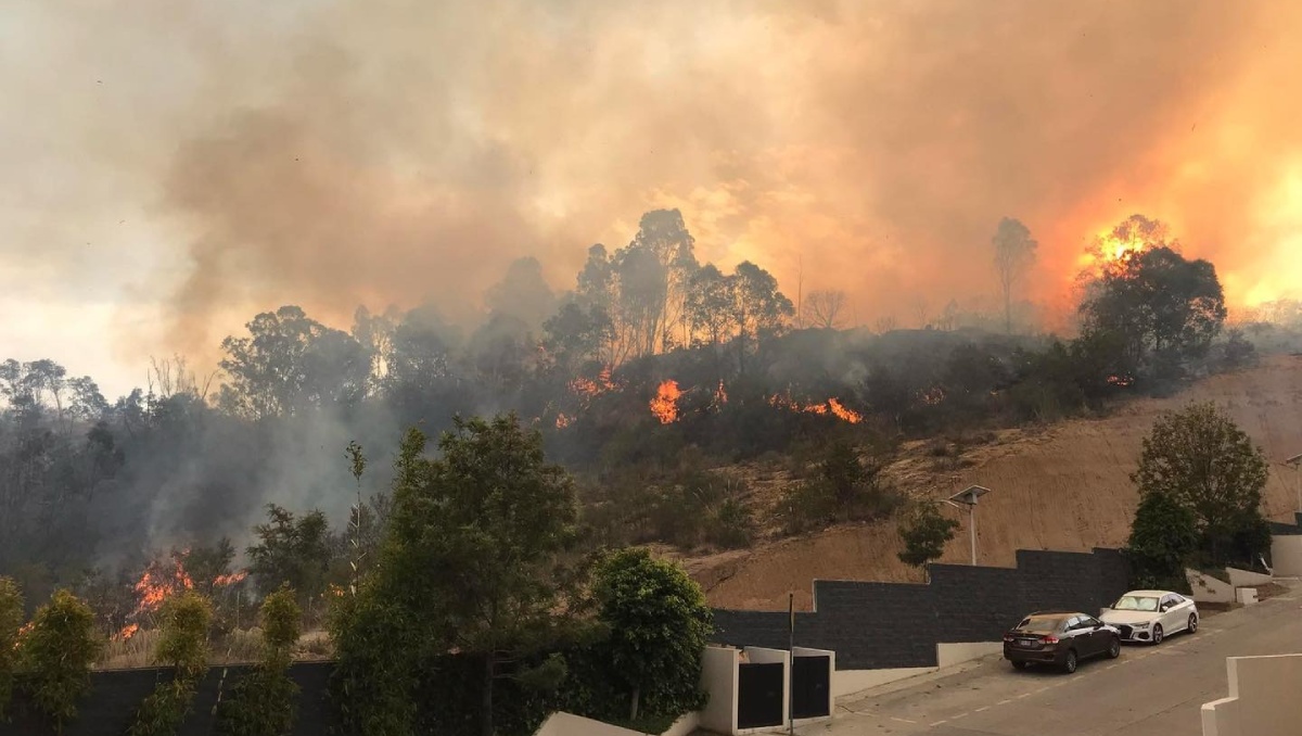 Incendio forestal cerca de viviendas. Foto: (Especial)