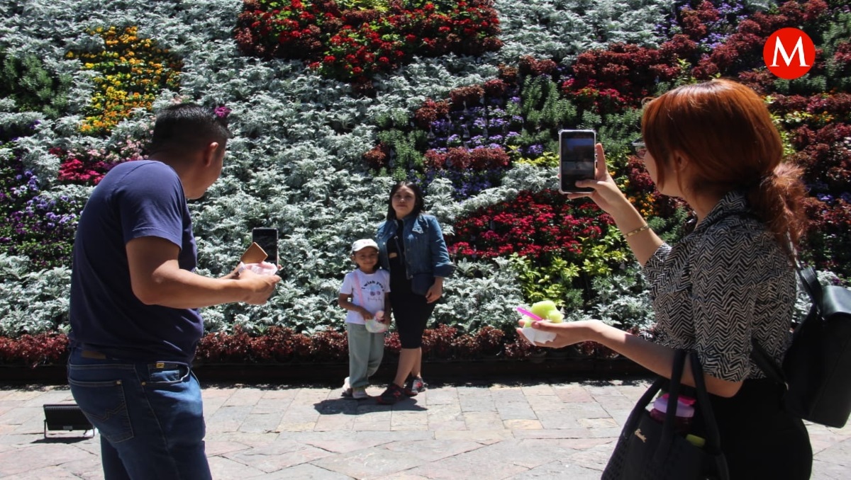 Poblanos y turistas aprecian el Mosaico Floral Monumental en Atlixco | Melanie Torres