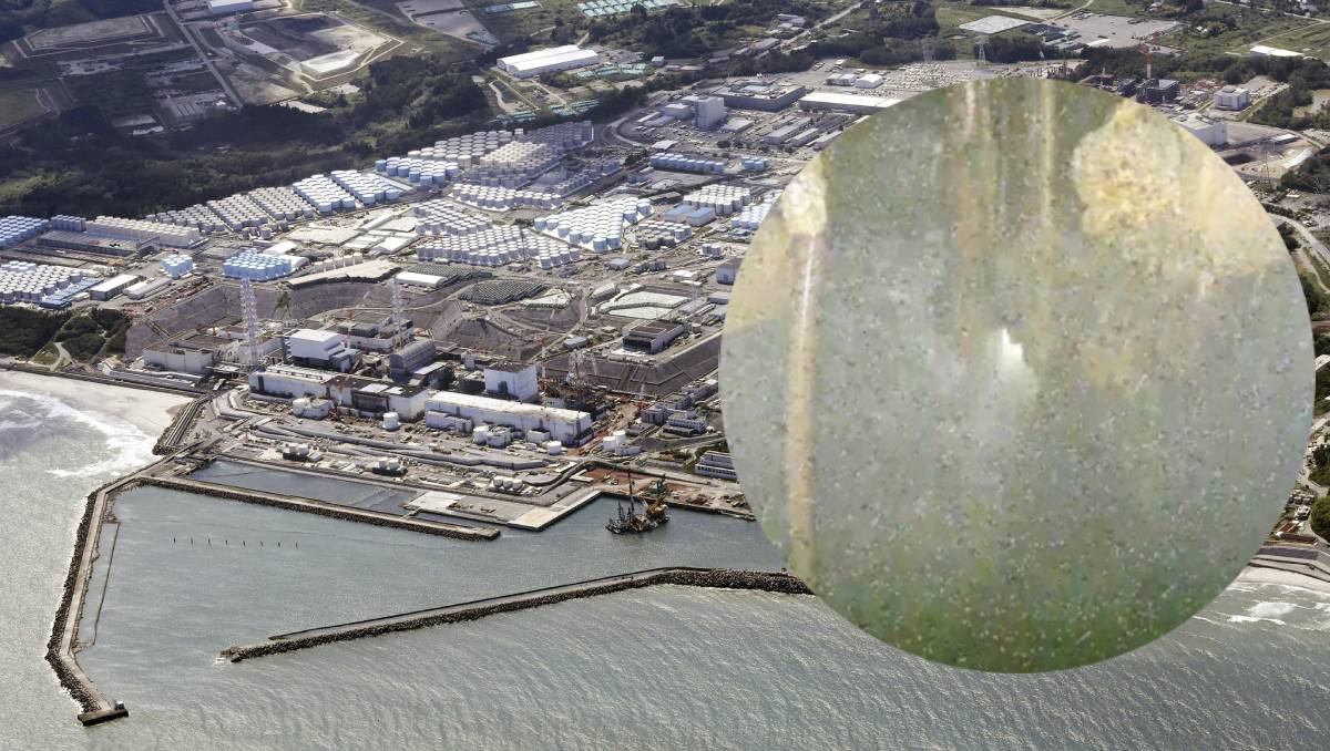 El gobierno japonés comenzó a verter agua radiactiva en el océano Pacífico | AP