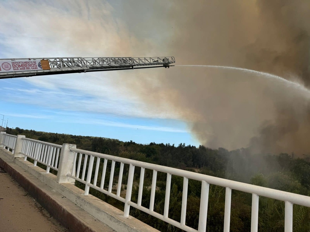 Incendio arrasa con 34 hectáreas del Palmar en Estero de San José del Cabo | Especial