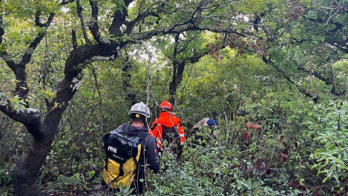 Los excursionistas habían subido el cerro con rumbo al Pico Norte | Especial