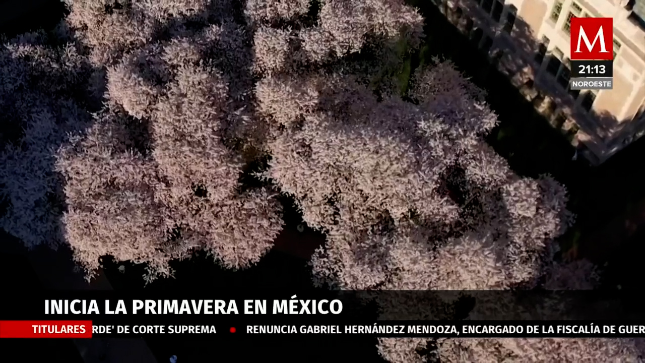 La Primavera llega a México con explosión de colores