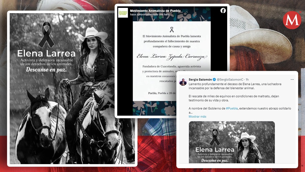 Reacciones por muerte de Elena Larrea, fundadora Cuaucolandia Puebla | Especial | Diseño Milenio