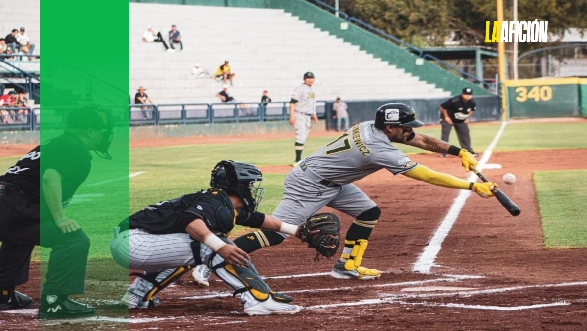 Pericos de Puebla inician sus juegos de pretemporada | Especial