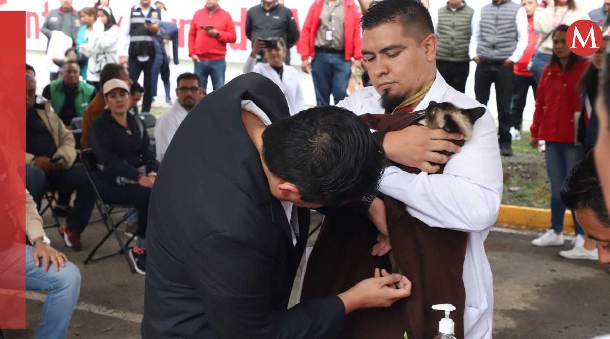 La rabia es un virus mortal que se transmite a perros y gatos | Especial