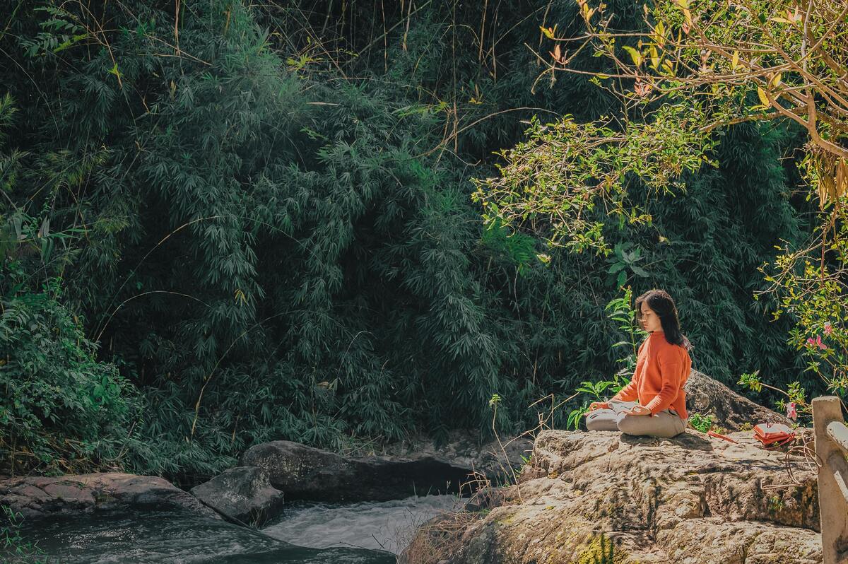 Retoman aromas de ecosistemas mexicanos / Especial