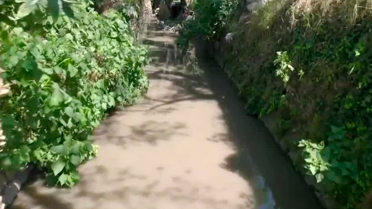 Río Magdalena de CdMx enfrenta un fuerte caso de contaminación | Notivox Hábitat