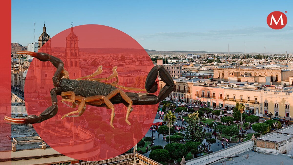 Te decimos qué hacer en la capital de Durango. (Especial)