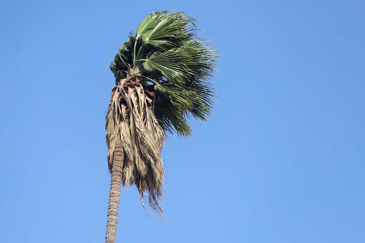 Se esperan rachas fuertes de viento. (Rolando Riestra)
