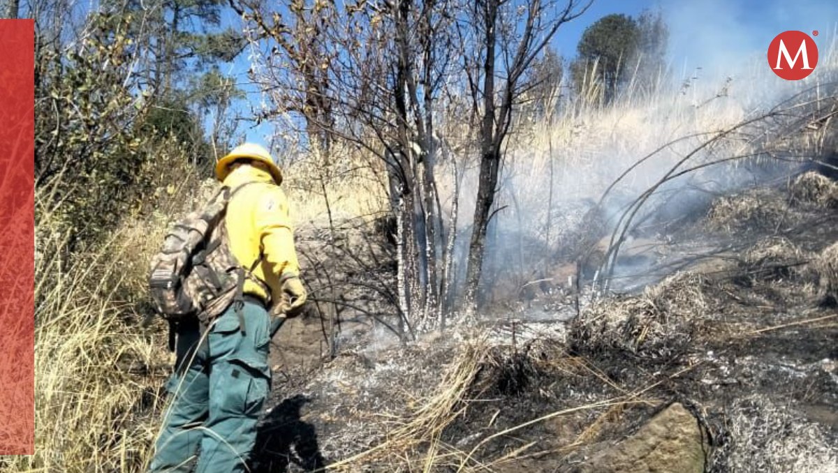 Incendios en Edomex| Mario C. Rodríguez