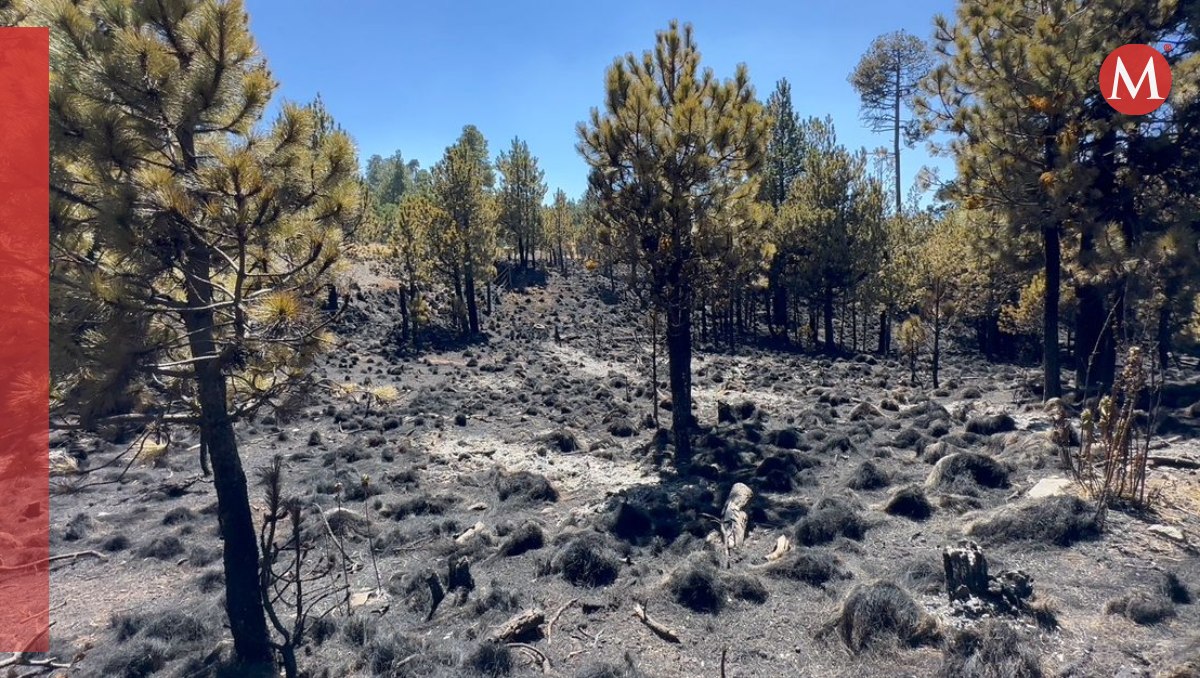Incrementan incendios en marzo de 2024 |Foto: Mario C. Rodríguez