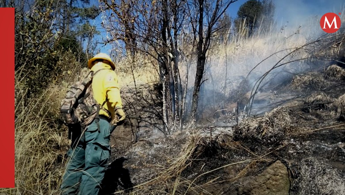 Los tres órdenes de gobierno trabajan en el control y liquidación de estos incendios. | Especial