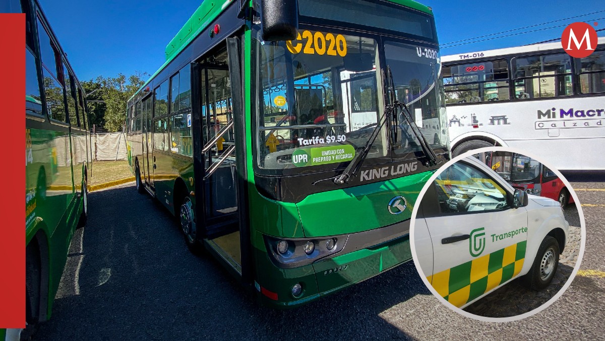La Secretaría de Transporte puede sancionar unidades con irregularidades (Fotos: X y Cortesía | Diseño: Milenio)