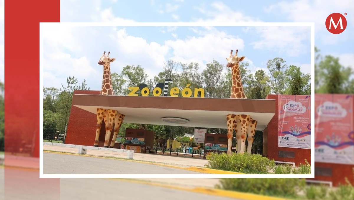 Zooleón prevé recibir 67 mil visitantes en durante Semana Santa | Especial