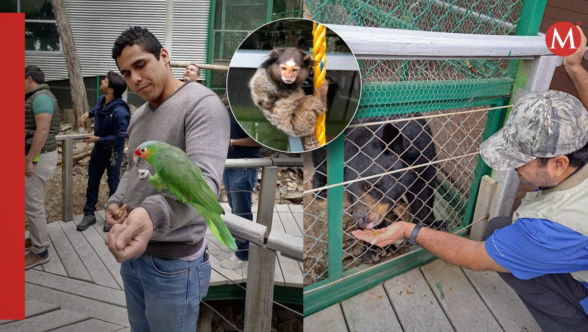 Centro Interpretativo Ecológico. (Especial)